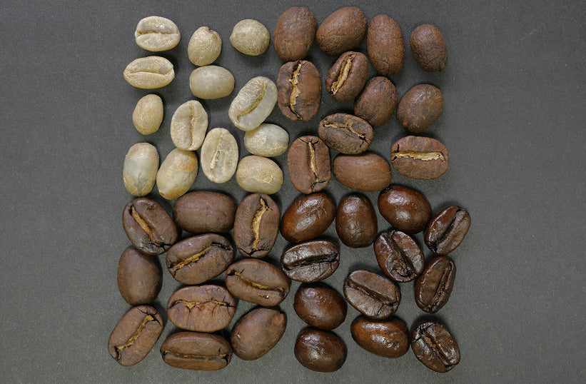 Coffee beans arranged in a grid showing a progression from unroasted green to light, medium, and dark roast