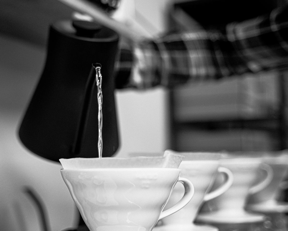 Video Roundup: 3/15/2019 - Seattle Coffee Gear