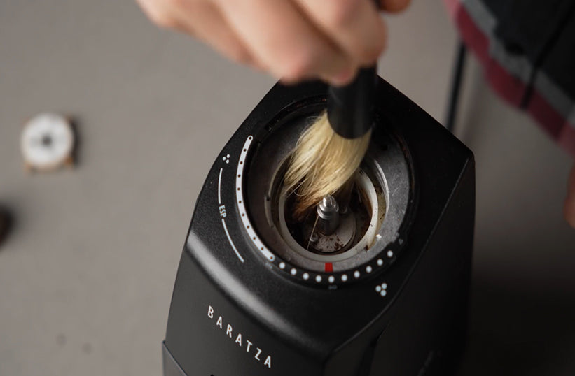 A hand using a soft brush to clean the burrs of a Baratza espresso grinder