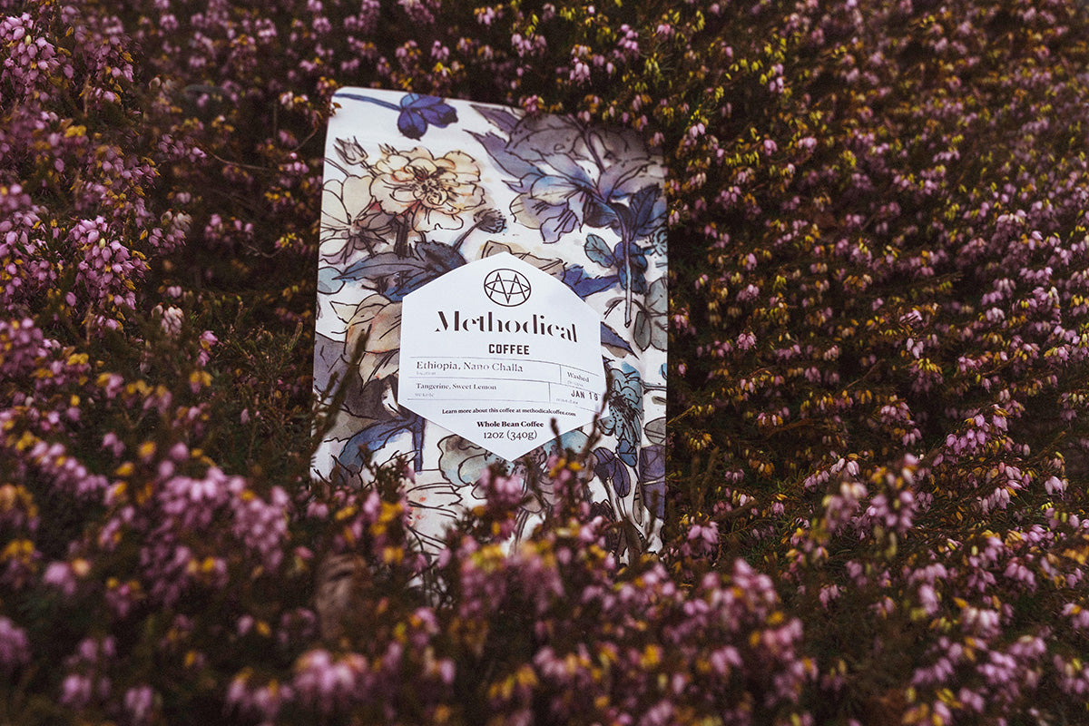 Roast of the Month: Methodical's Ethiopia Nano Challa