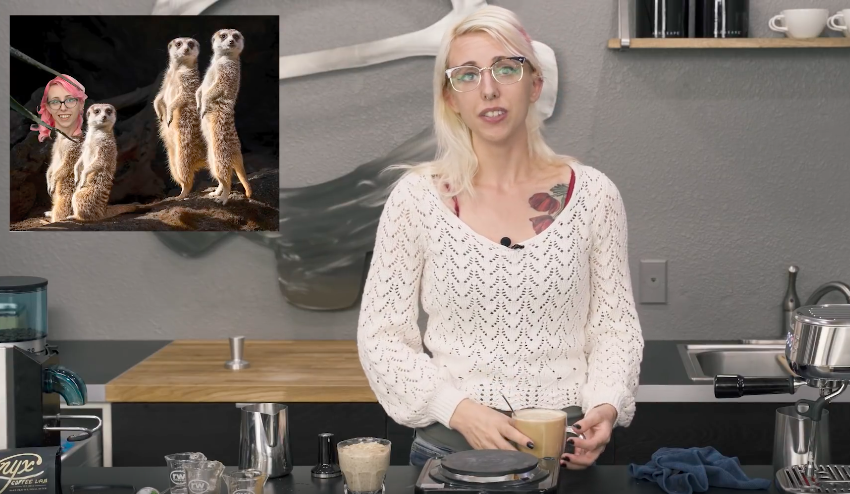 Video Roundup: 12/06/2019