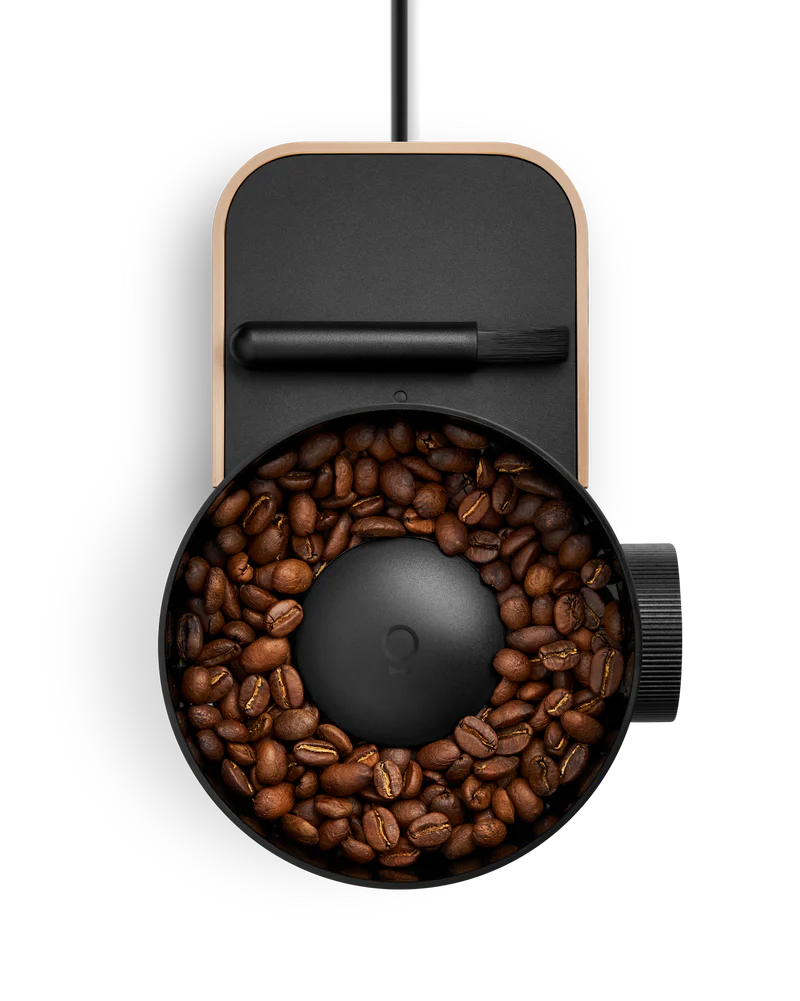 Fellow Opus Gen 2 Espresso Grinder