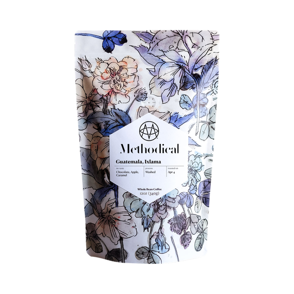 Methodical Coffee - Guatemala Ixlama